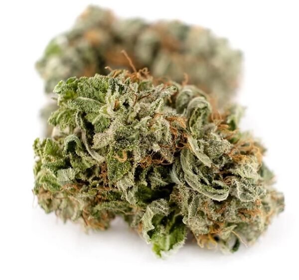 Buy girl scout cookies online Ramapo, Marijuana dispensary Amherst, Buy THC weed Smithtown, Buy CBD weed Albany, Legit weed delivery dispensary Greece.