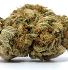 Buy White Widow Strains