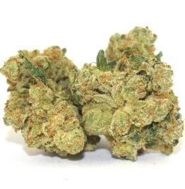 Buy OG kush online Greenburgh, legit weed delivery dispensay Clarkstown, Buy THC weed Cheektowaga Colonie, Buy CBD weed Utica, Order weed safely.