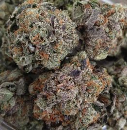 Buying Purple Kush Marijuana Strain Online In San Diego California