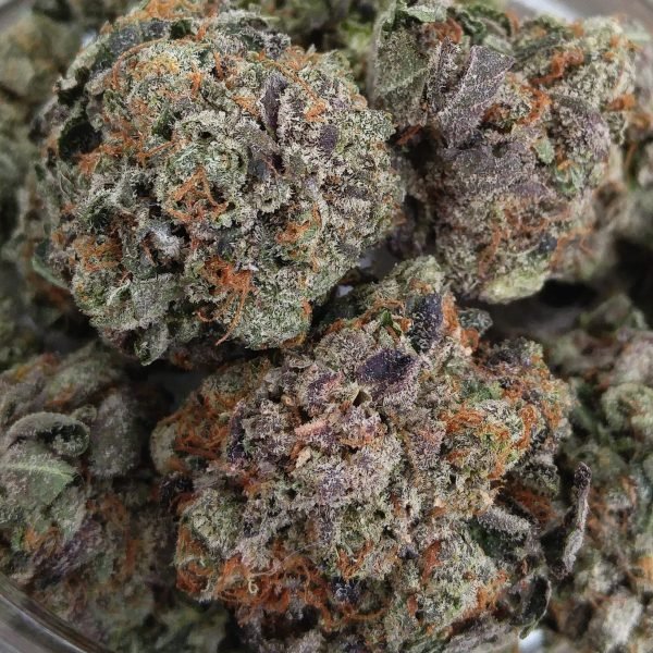 Buying Purple Kush Marijuana Strain Online In San Diego California