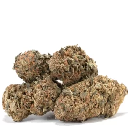 Bubba Kush Marijuana Strain For Sale Online In Bridgeport Connecticut