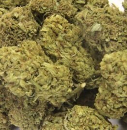 Buy Banana Split Strain