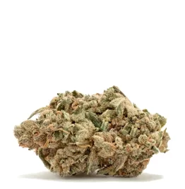 Purchasing Super Lemon Haze Marijuana Strain Online