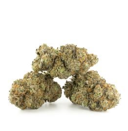 Buy Slurricane Strain Online