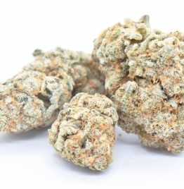 Dolato Strain for sale