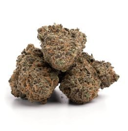 Buy Wifi Cannabis Strain Online