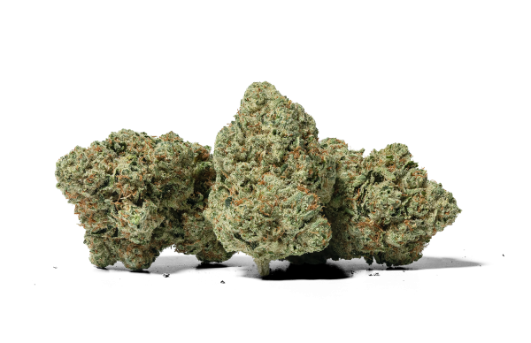 Motorbreath Strain