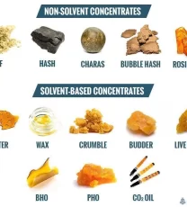 Cannabis Concentrates